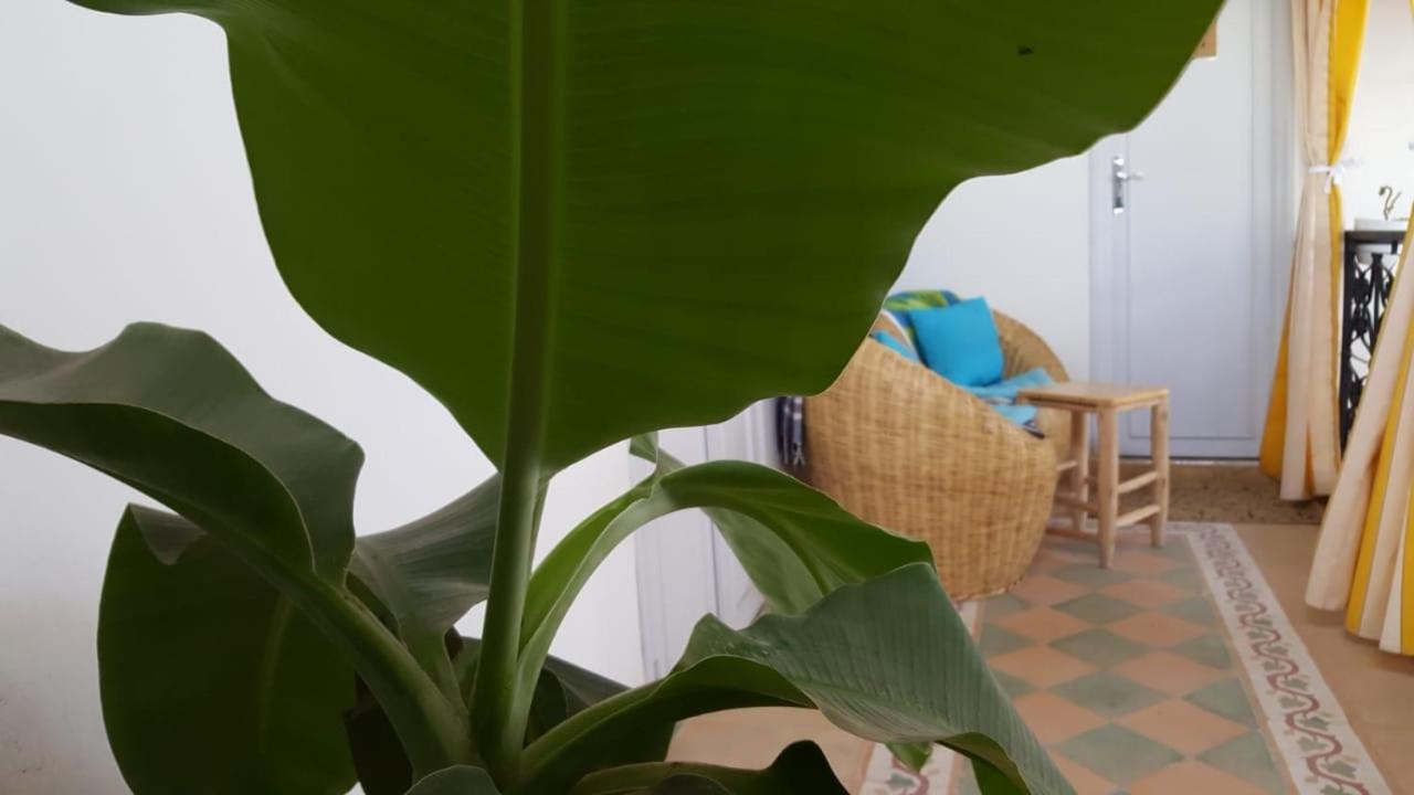 Riad Medina Marrakesz Zewnętrze zdjęcie